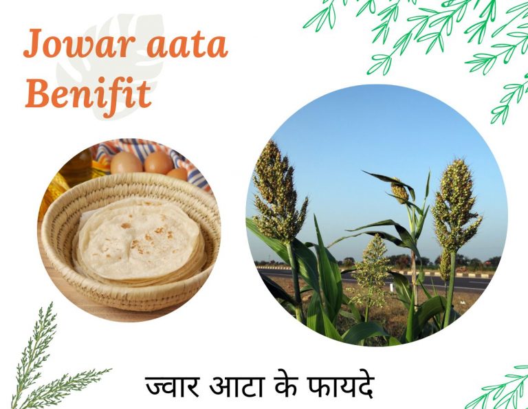 Jowar aata Benifit in Hindi