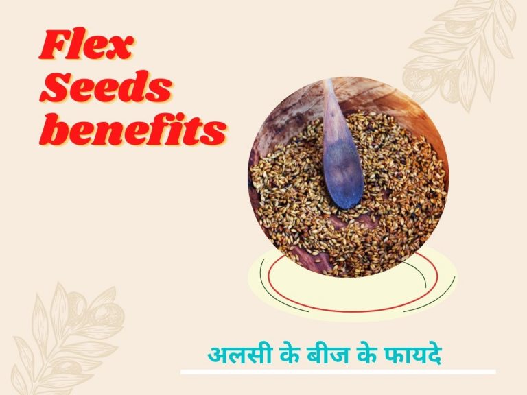 Flex Seeds benefits in Hindi | अलसी के बीज के फायदे